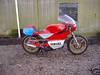yamaha tz350 1978
